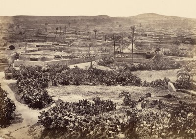 Gaza, The New Town by Francis Frith